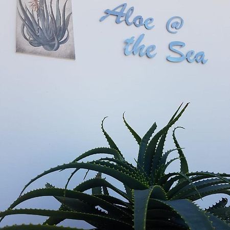 Aloe @ The Sea Apartment Mossel Bay Exterior foto